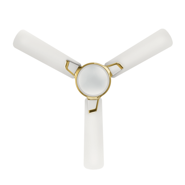 Pearl White Gold Fan