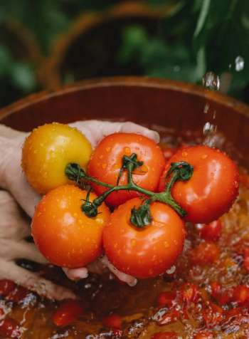 Tomato Ketchup